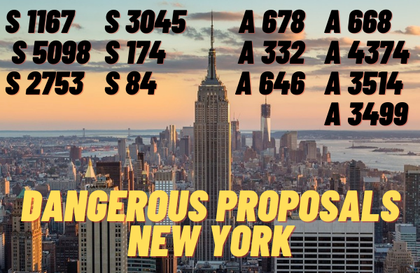Dangerous Proposals New York